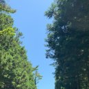 안덕면행정복지센터 이미지