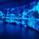 제주도립미술관 이미지