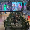 Kingdom of The Planet of The Apes 2024 이미지