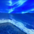 경상남도수목원박물관 이미지