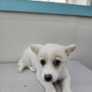 앙뚜네 미장원 이미지