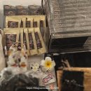 RAINBOW CASTLE 이미지