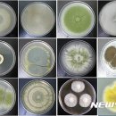 순창군미생물산업사업소 이미지