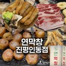 진평손세차장 | 구미 진평동 맛집, 연막창 진평인동점 막창과 냉삼 후기