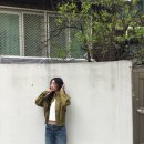 그린피드 이미지