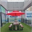 배움영어학원 이미지