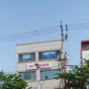 낭만 in 호스텔 네이버블로그