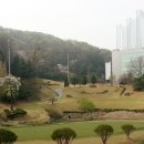 분당그린피아골프 이미지
