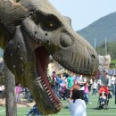 엑스포주차장 이미지