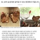 곤드레이야기 이미지