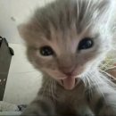 그림정원 이미지