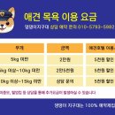 댕댕이 지구대 이미지