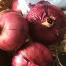 철이네푸드 이미지