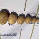 호현농장 이미지