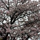 승학체육공원 이미지