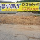 송주농장 이미지