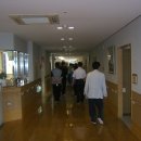 더불어숲법인