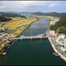 강구대게축구장 Daum카페
