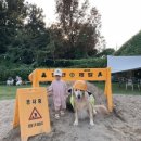 멍스 컨테이너 이미지