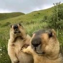 남부동물병원 이미지