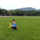 광명종합운동장 네이버블로그