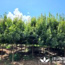 (주)서림개발 이미지