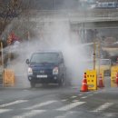 청도소싸움경기장 이미지