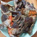 여미꽃게장 이미지