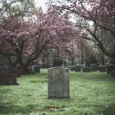 연신여인숙 이미지