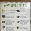 시골생삼겹우렁쌈밥 이미지