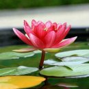 대경농장 이미지