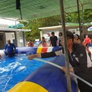 테라피민박 이미지