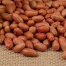 백송푸드 이미지