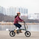 자이언트디테일 이미지