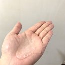 헤어플어스