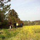 천주교 순례길 - 하논성당길 이미지