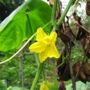 쟁골농장 이미지