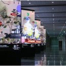 유네스코한국위원회