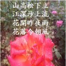 비산고가 아래 이미지