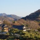 청풍 - 강릉시 죽헌길 140 | 청풍