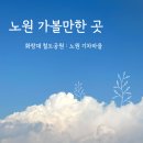 도시철도 시청역 4번출구 | [서울 노원] 화랑대 철도공원 노원기차마을 후기 아이랑 가볼만한 곳