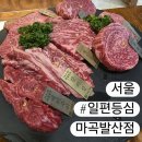 씨유 발산열린점 | [서울/강서] 일편등심 마곡발산점, 1++ 최상급 한우 격조 있는 회식 내돈내산 솔직 후기