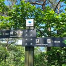 행운민박 이미지