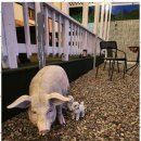 삼천포펜션 이미지