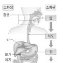 수학에너지학원 - 천안시 서북구 불당21로 65 | 수학에너지학원