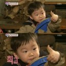 가영 | 그냥 봄이 봄이니까 꽃이 피어나는 거다: 도쿄 2박 3일