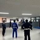 파라에스트라하계주짓수mma