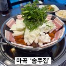 개폼 | 마곡나루맛집 쭈꾸미+사리몽땅 최고의 조합 송쭈집
