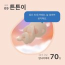 이화수로요양병원 | [임신 29-32주차] 울산 북구 손태교 교실, 이사준비로 바쁜 나날