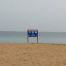 고래불국민야영장 이미지